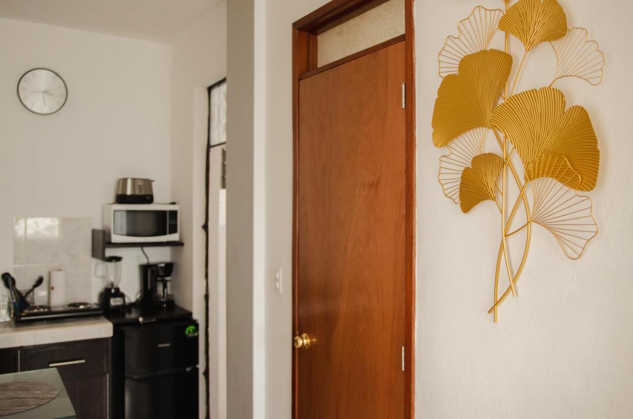 צ'טומאל Departamento Orellana 1 מראה חיצוני תמונה
